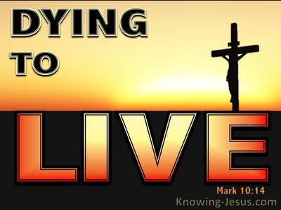 Mark 10:14 Dying To Live (devotional)11-10 (orange)